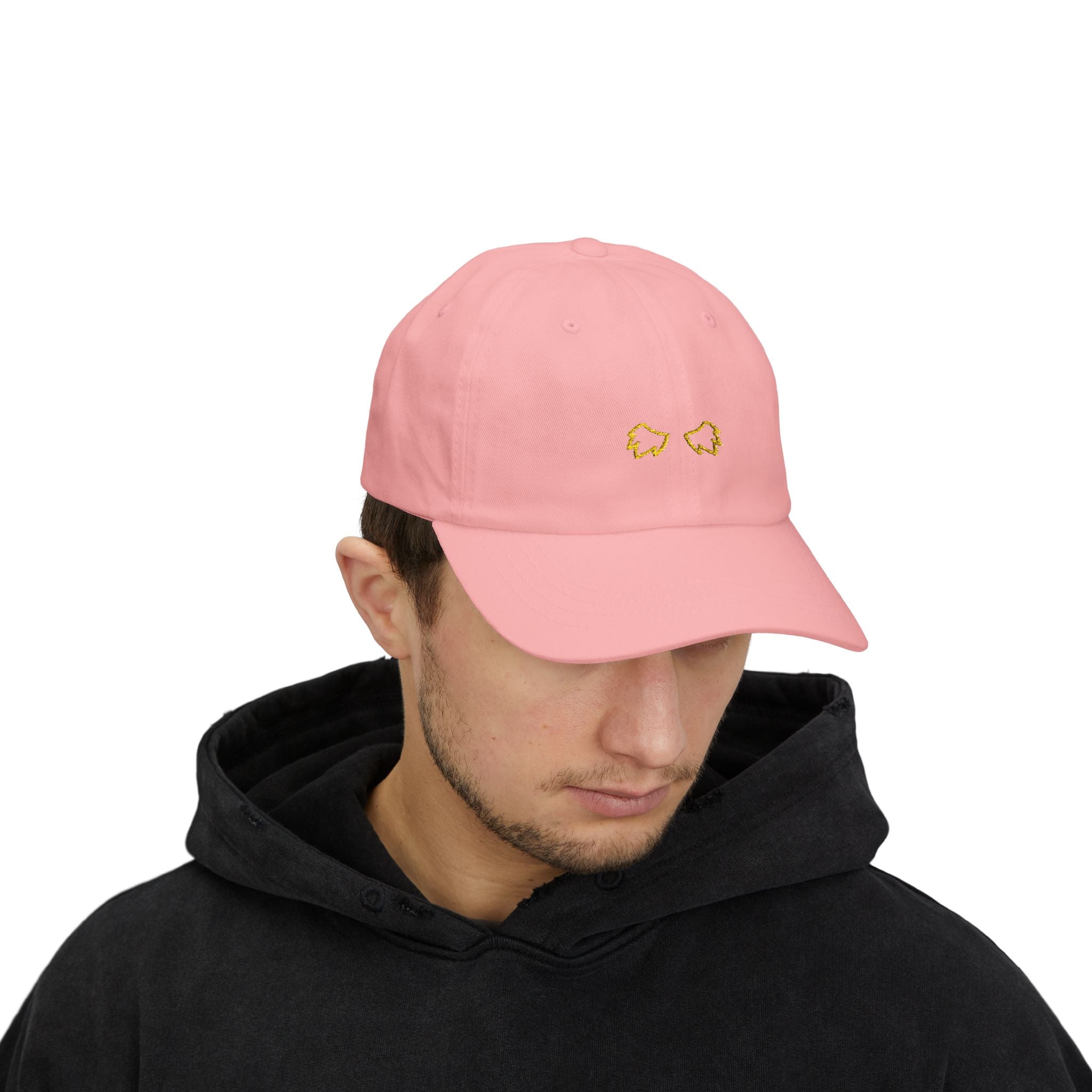 0255 Embroidered Cap