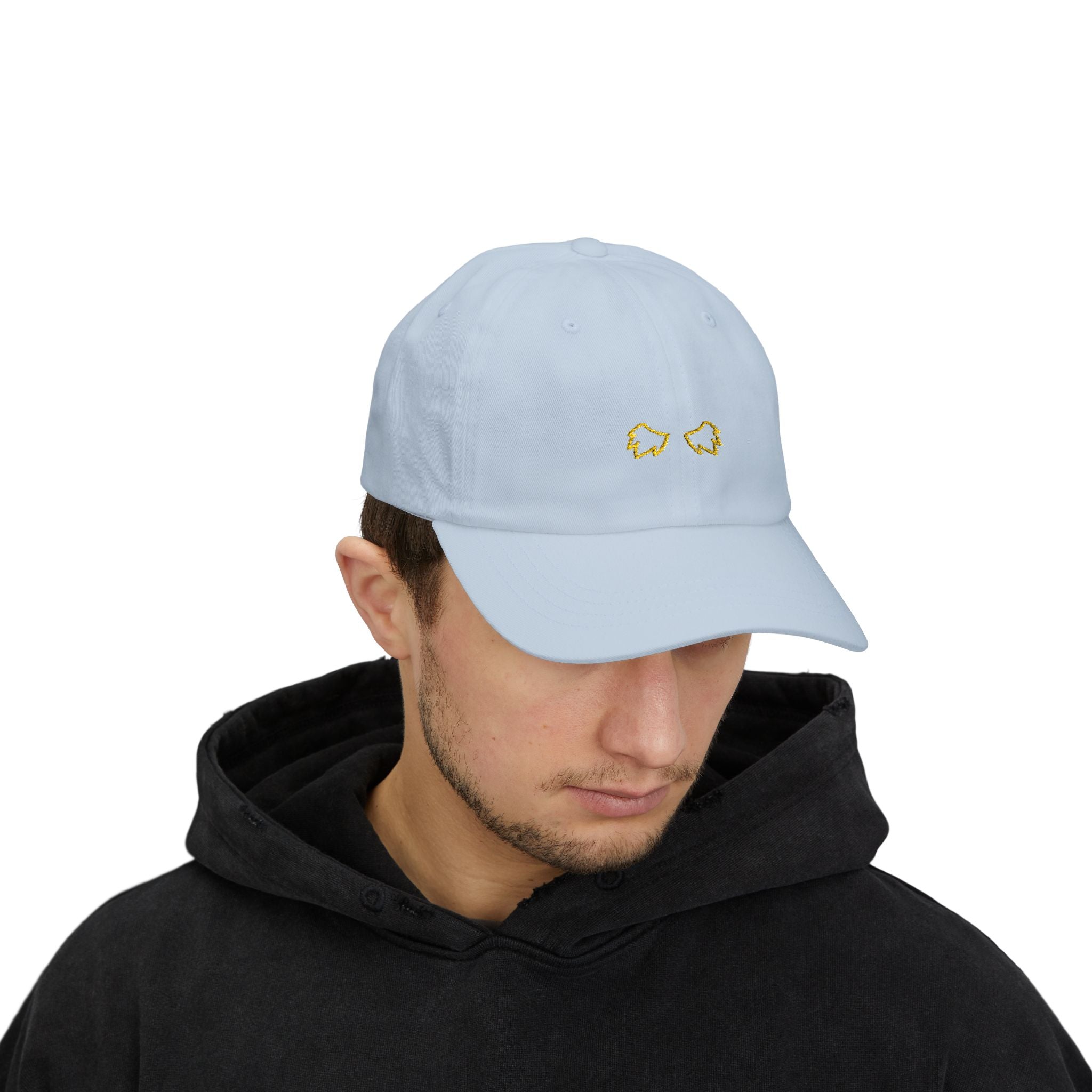 0255 Embroidered Cap