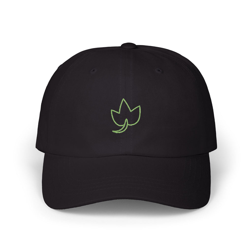 0495 Embroidered Cap