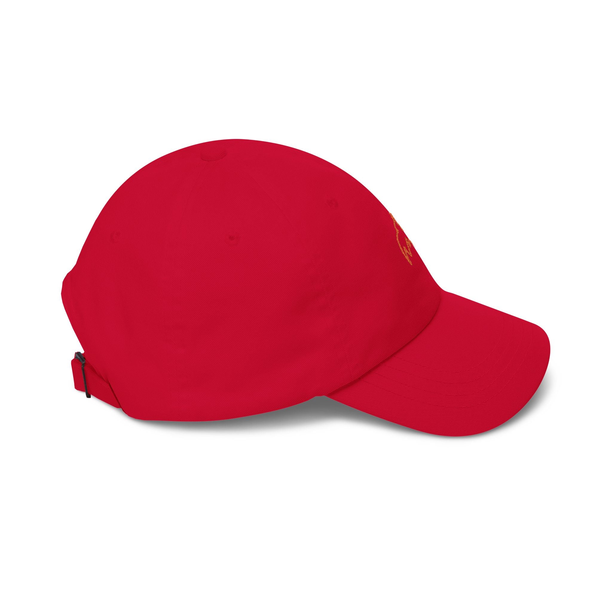 0390 Embroidered Cap