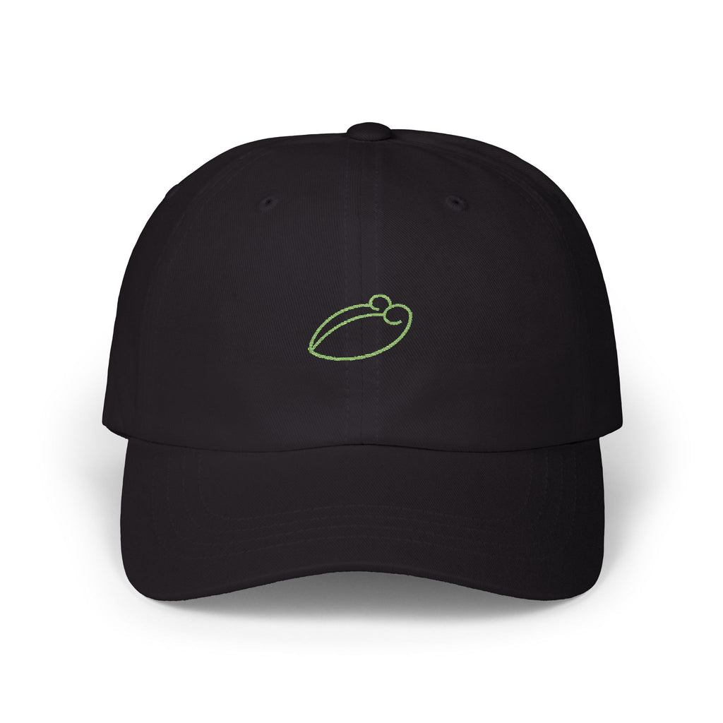 0252 Embroidered Cap