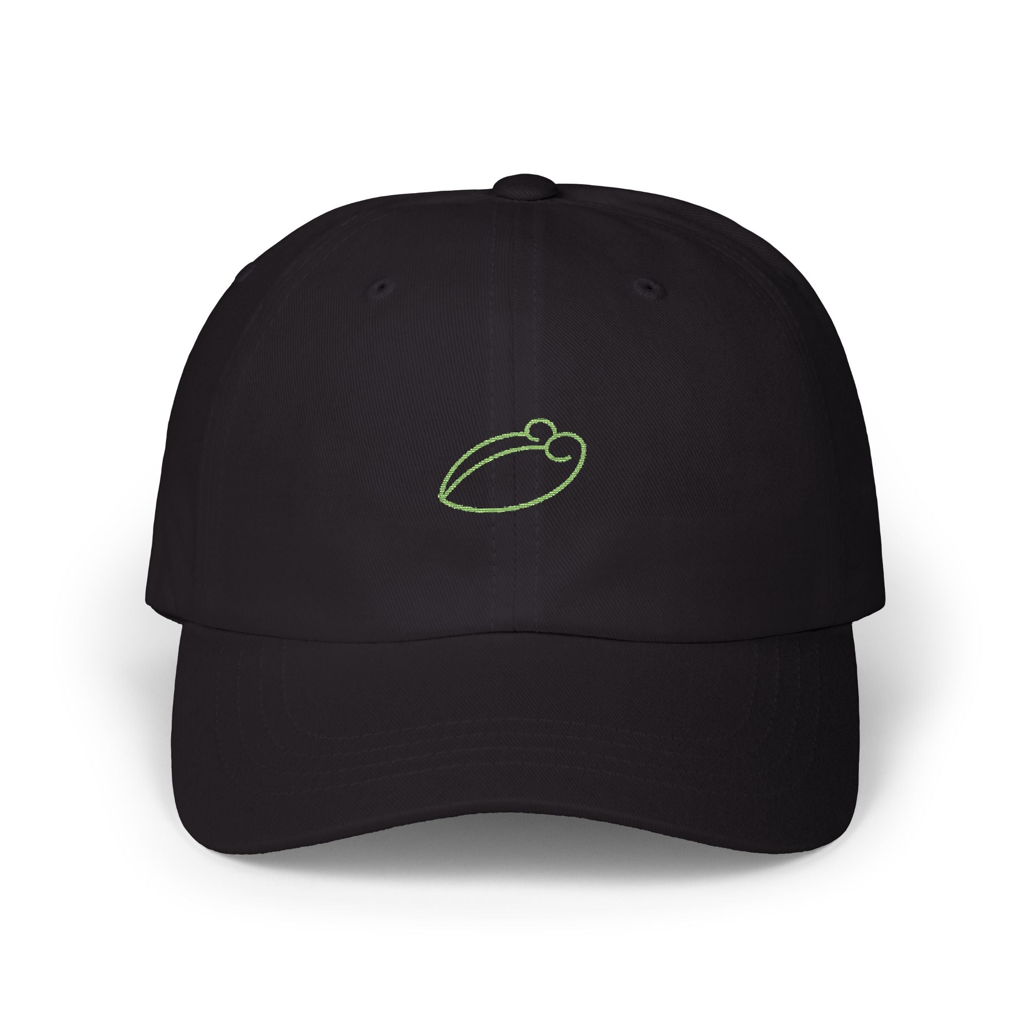 0252 Embroidered Cap