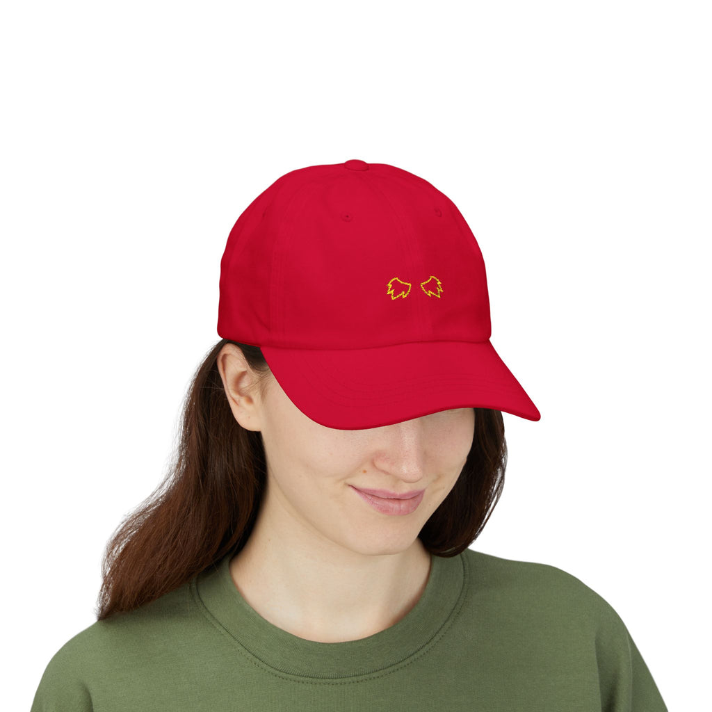 0255 Embroidered Cap