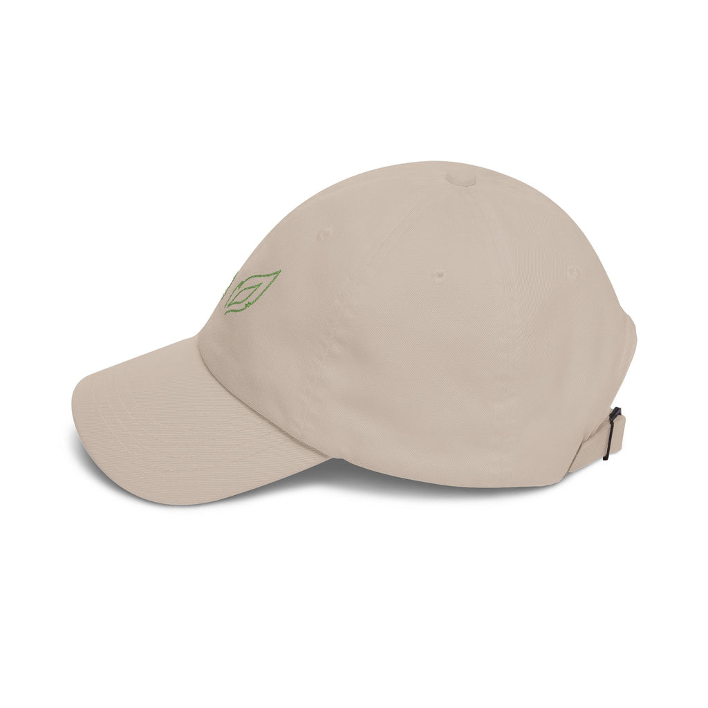 0470 Embroidered Cap