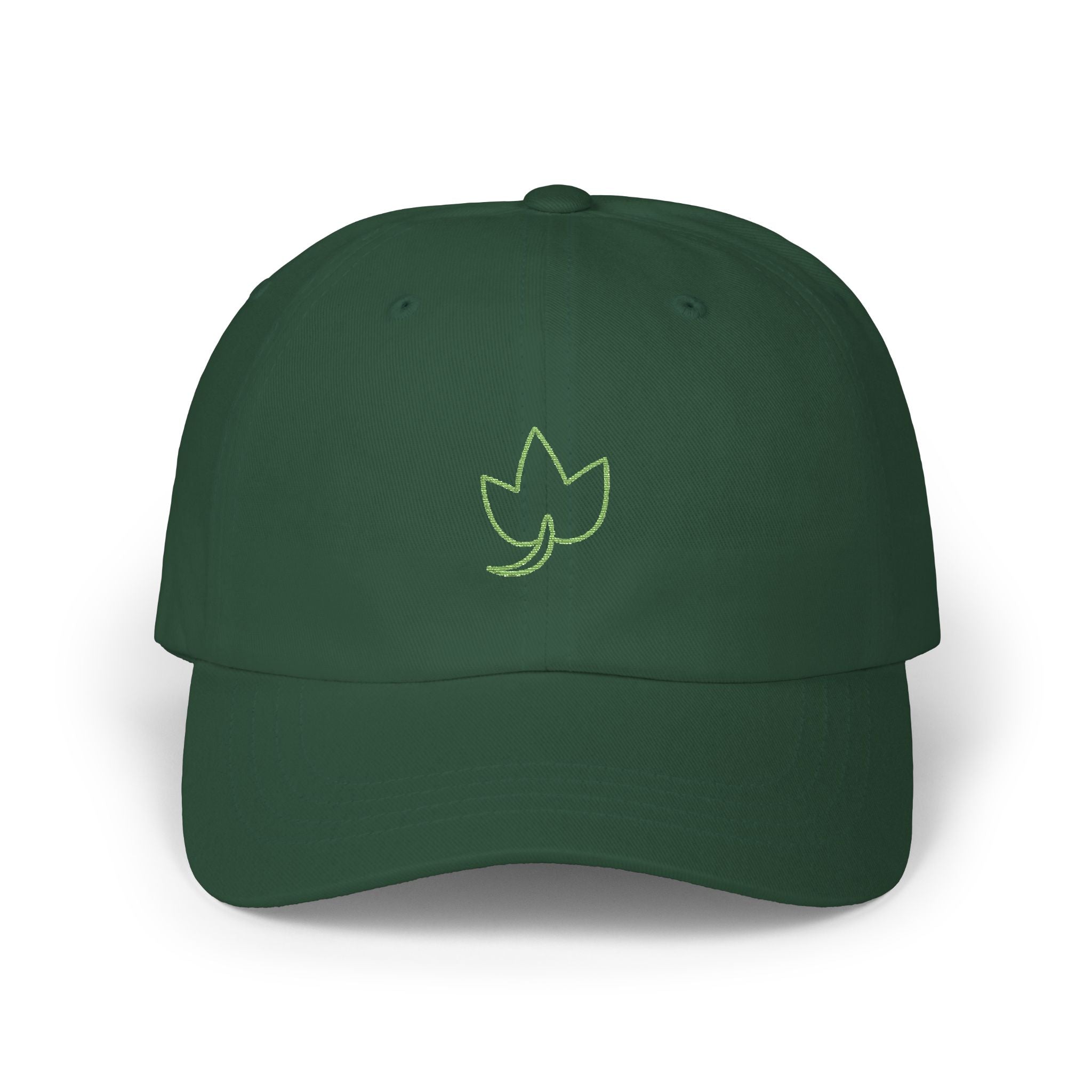 0495 Embroidered Cap