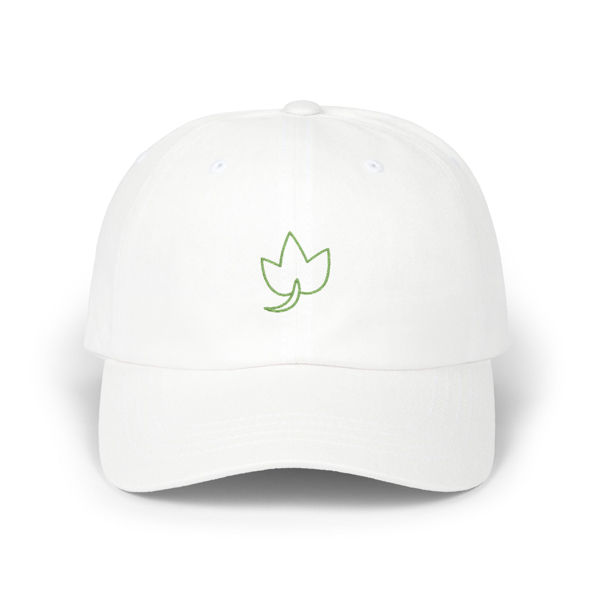0495 Embroidered Cap