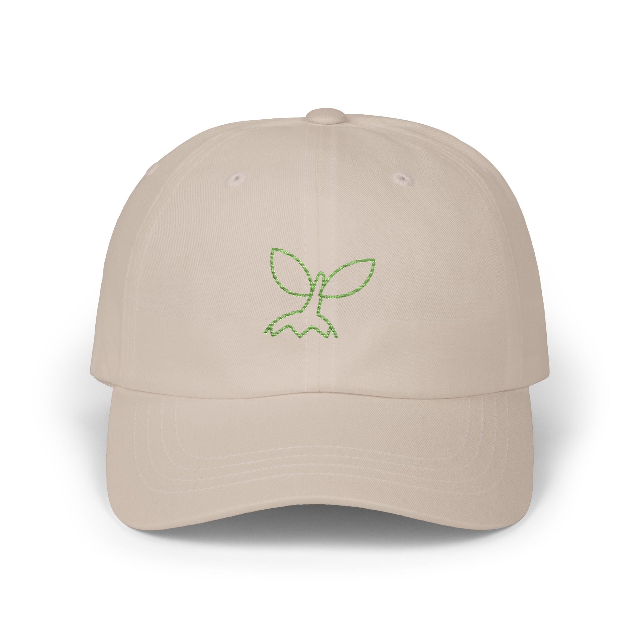 0387 Embroidered Cap