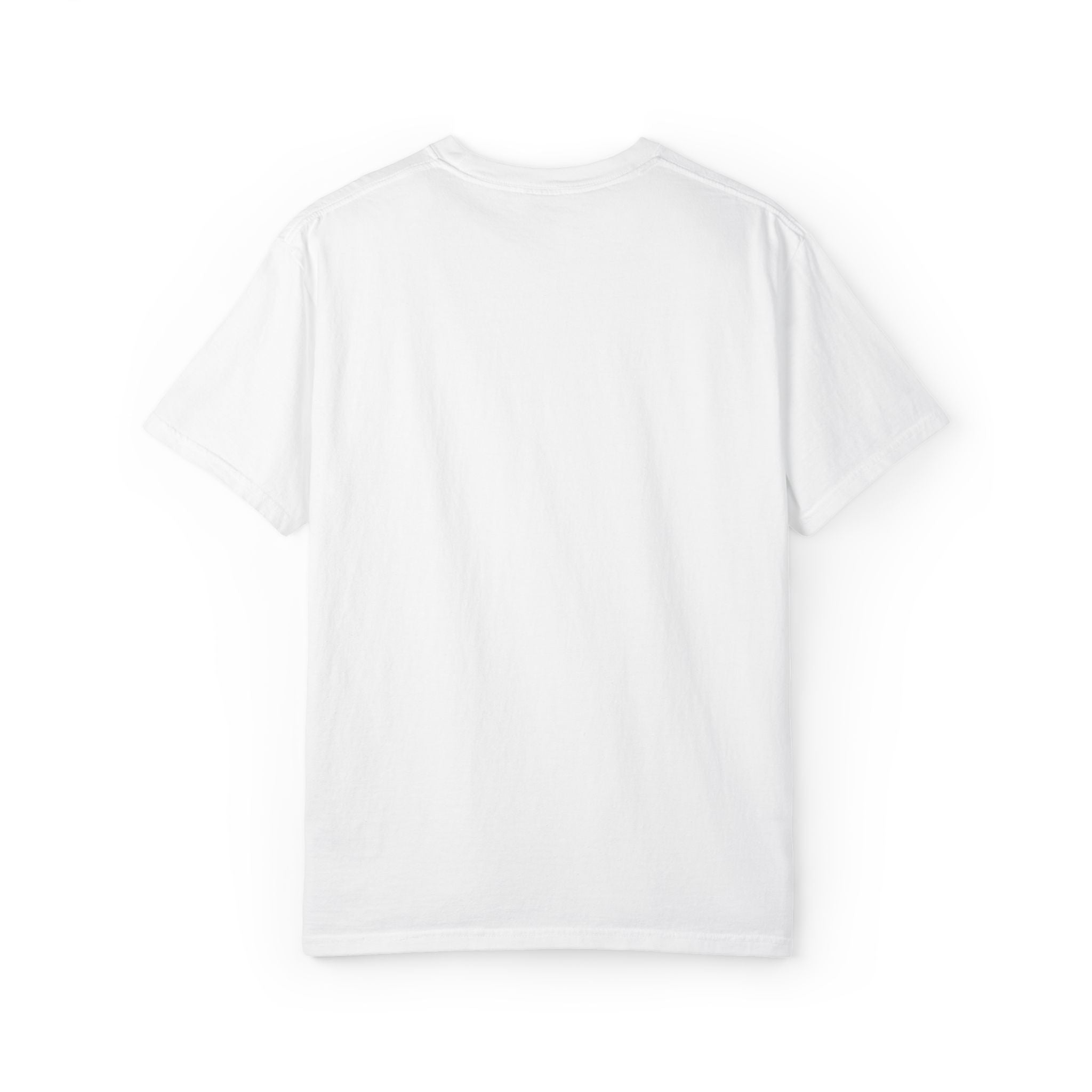 0255 Unisex Embroidered T-shirt